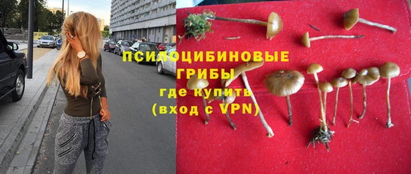 круглые Алзамай