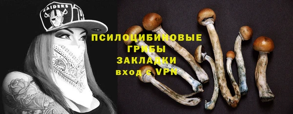 мяу мяу мука Алексин
